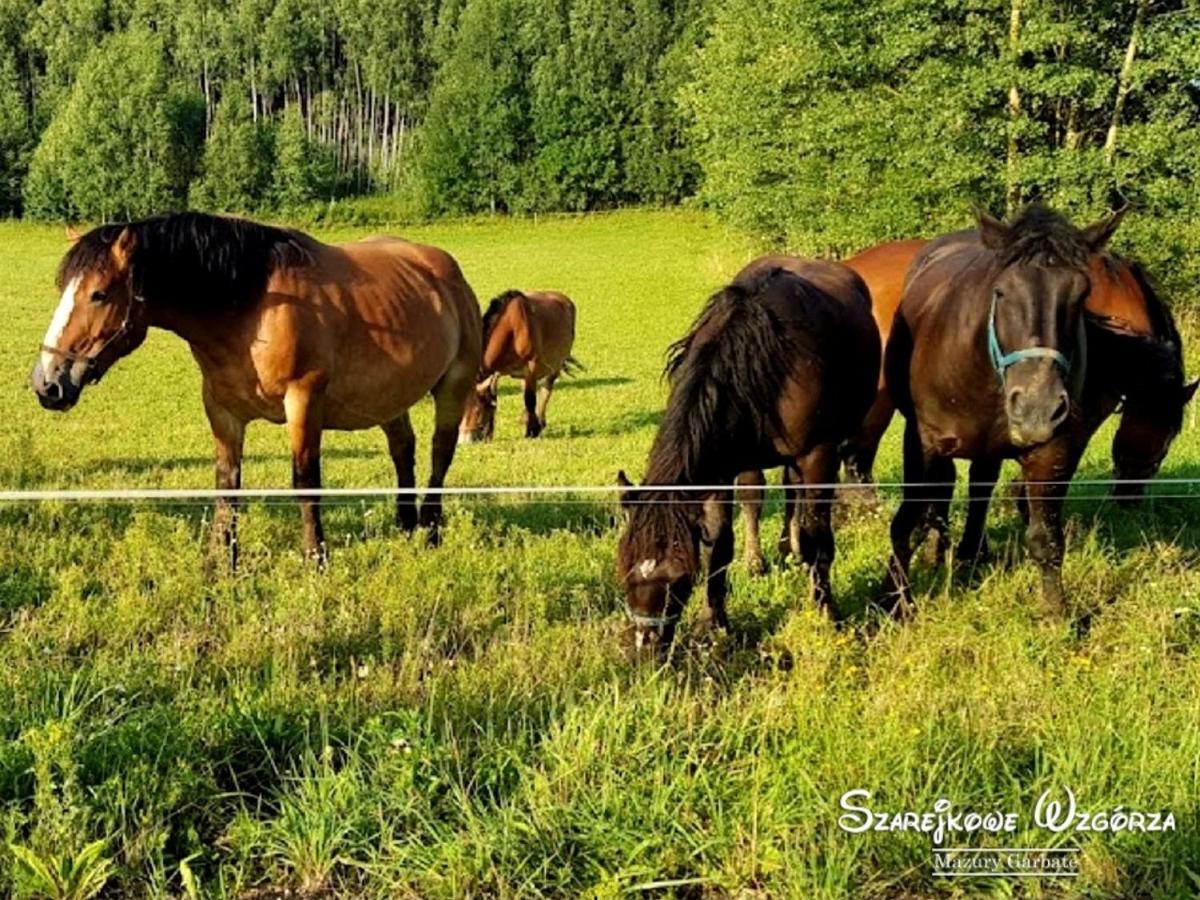 Готель Szarejkowe Wzgorza Szarejki Екстер'єр фото